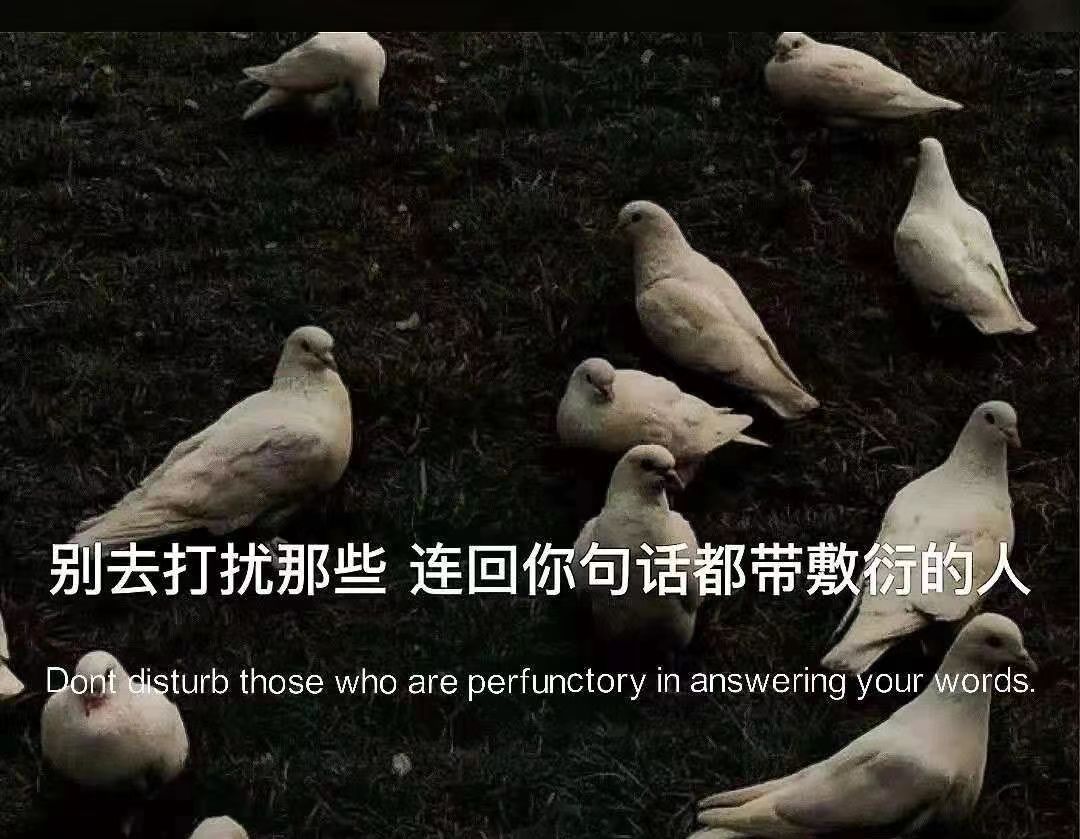 |后来的我们  回不去 了