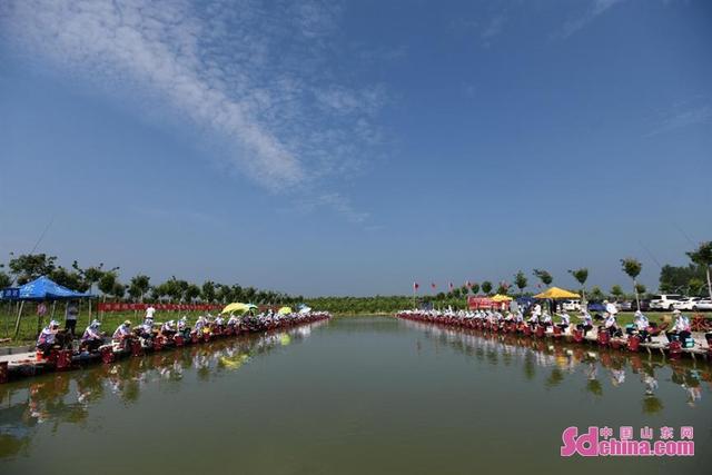 饵料|桓台县第十二届全民健身运动会钓鱼比赛在阡陌小镇举行