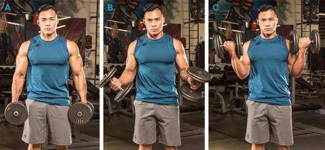 高血压|身体各部位最佳健身动作，你做过几个？