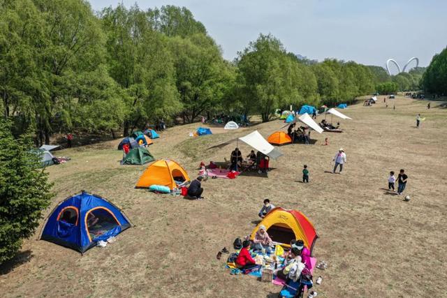 日出|采摘、露营、赏花……避开传统景区，沈阳人这么玩儿