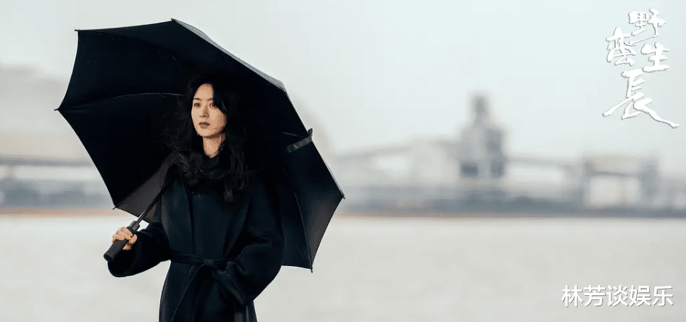 野蛮生长|央视点评《野蛮生长》，短短几句话，说到观众心坎上了！