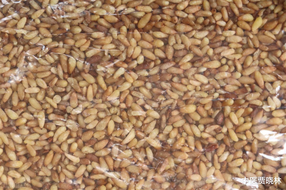 养生|一张“拔痰根”的方子!化解白痰、白腻苔、白胖舌,还人一身清爽