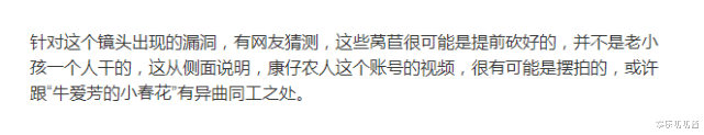 圈粉1900w康仔农人惹争议,砍莴苣被疑是摆拍,网友:戏精上身?
