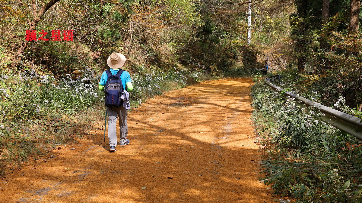 九寨沟|宁波第二条金光大道，走了还想走，赏景不忘植树人