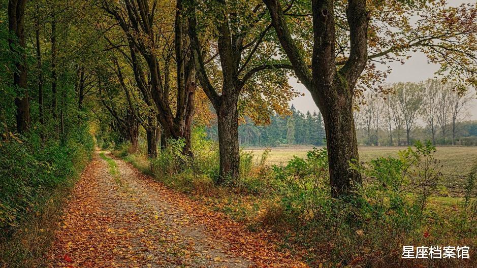 旧爱|有“狼性”的星座，勇于担当，认真负责，对爱专一，不轻言放弃