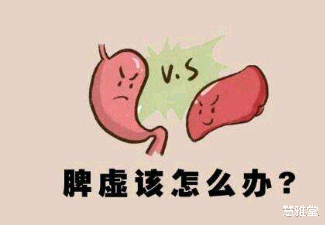 便秘|脾胃喜欢的5种食物，建议脾胃不太好的人，可以照着吃