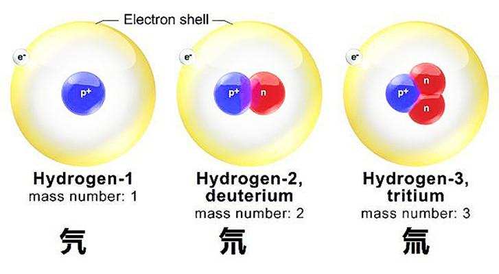 仿生学再立新功!英国科学家通过模仿枪虾行为,实现核聚变突破