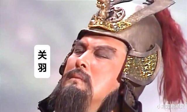蜀汉灭亡时，刘备、诸葛亮、关羽、张飞的后人有多悲惨？