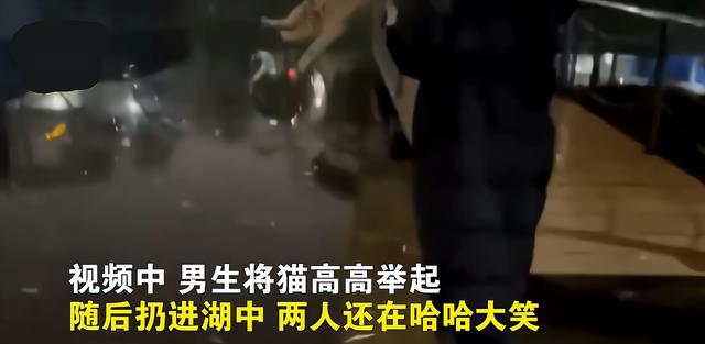 中小学|蔫儿坏！2名学生“虐猫”扔湖里，学校：已教育，遭网暴想跳楼！