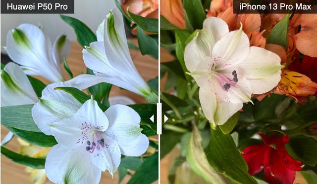 iPhone|华为P50Pro与iPhone13ProMax拍照对比：看看谁胜出？