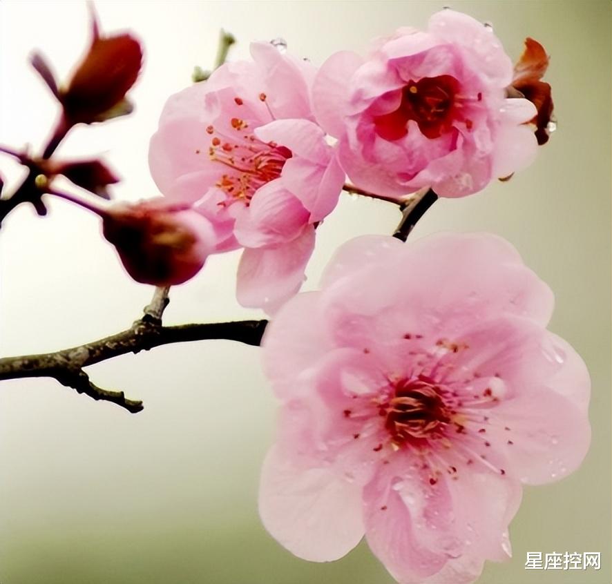 春夏穿搭|哪几个日子出生的人,出路多且广,身边的贵人帮助他们事业起飞