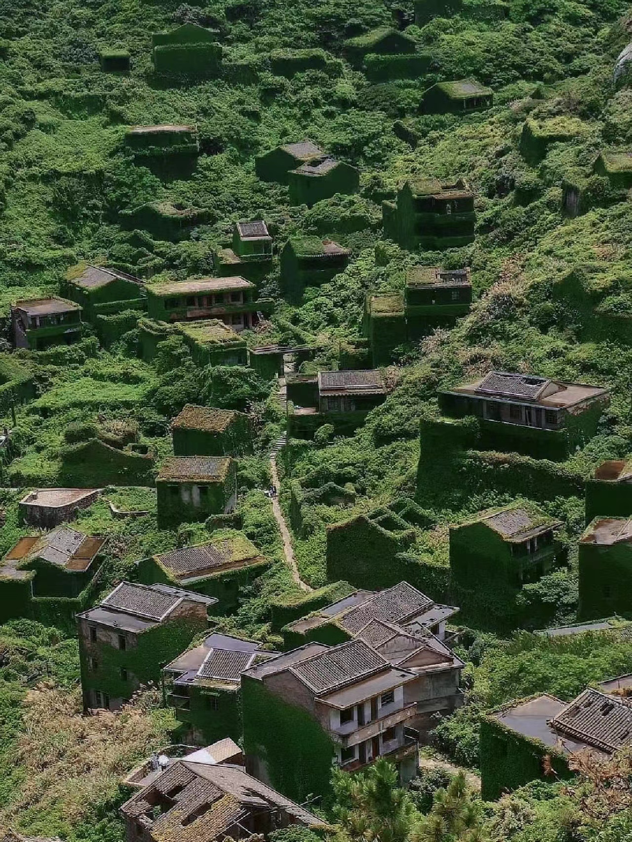 旅行|毕业旅行去哪儿？去欣赏一下宁波周边的山河湖海，夏日绝美