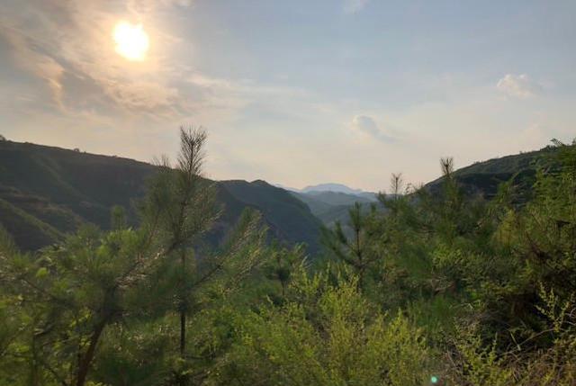 夏至将至,老话说:“夏至迎青龙,天子掌地中”,地中代表什么?