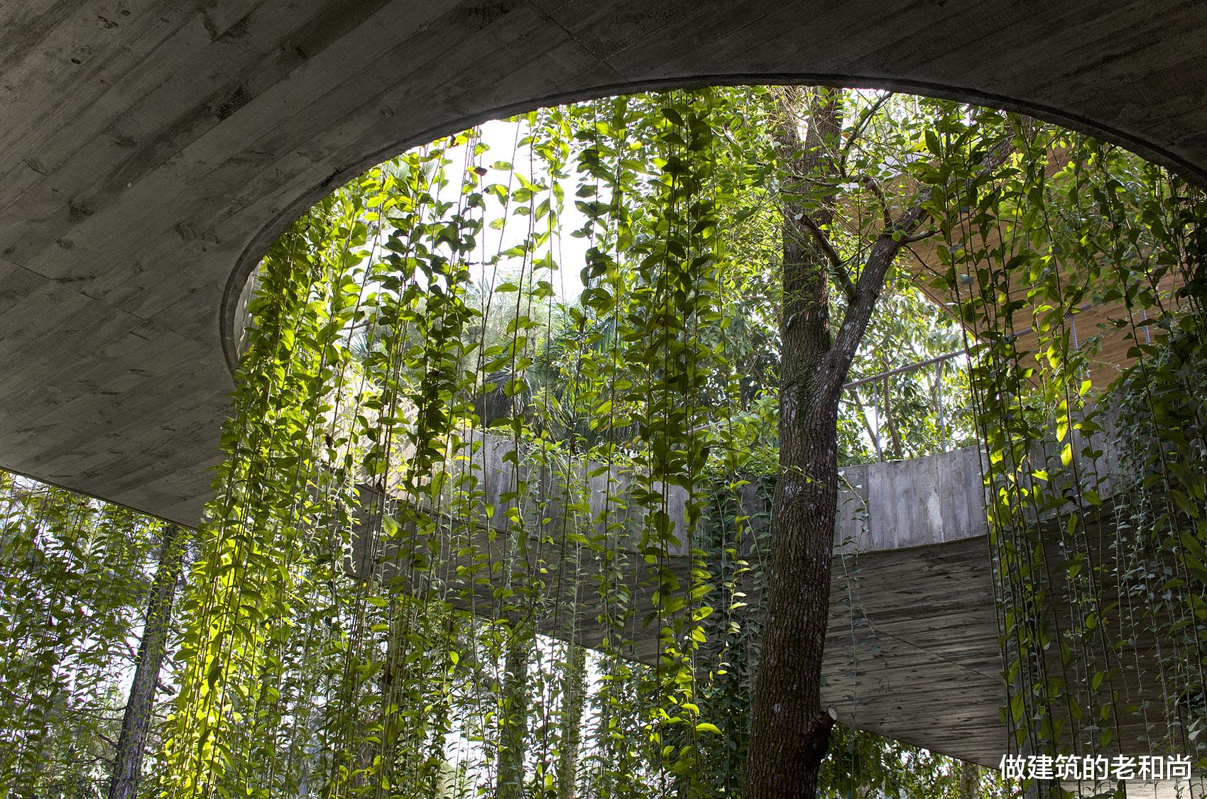 越南别墅设计：三代同堂之家，不同的家庭成员拥有不同的生活空间