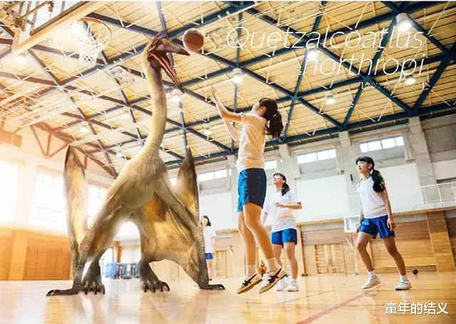 远古生物有多大?日本人PS了22张对比照,图9是翼龙和人类打篮球