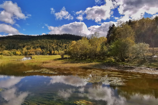 森林公园|旅游好去处普达措森林公园，领略与夏季截然不同的景色，如梦似幻