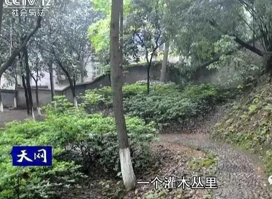 医院惊现女尸,牵出奸杀大案