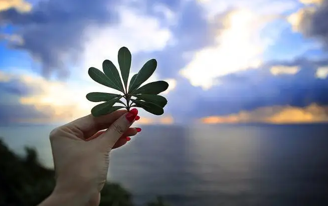 生活也能够如此的简单