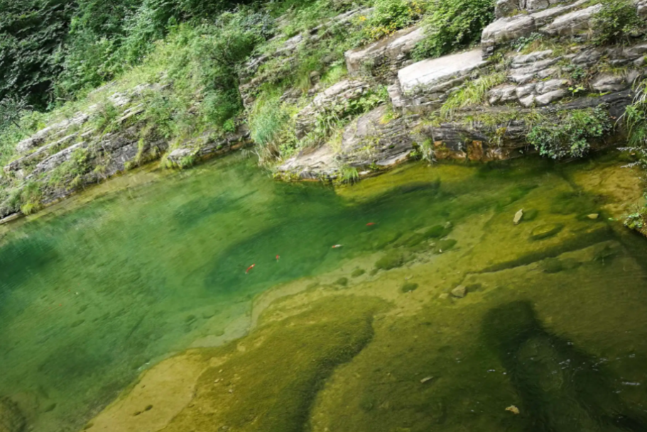 |山野千里,置身这里,便是微风中的欢喜(下)