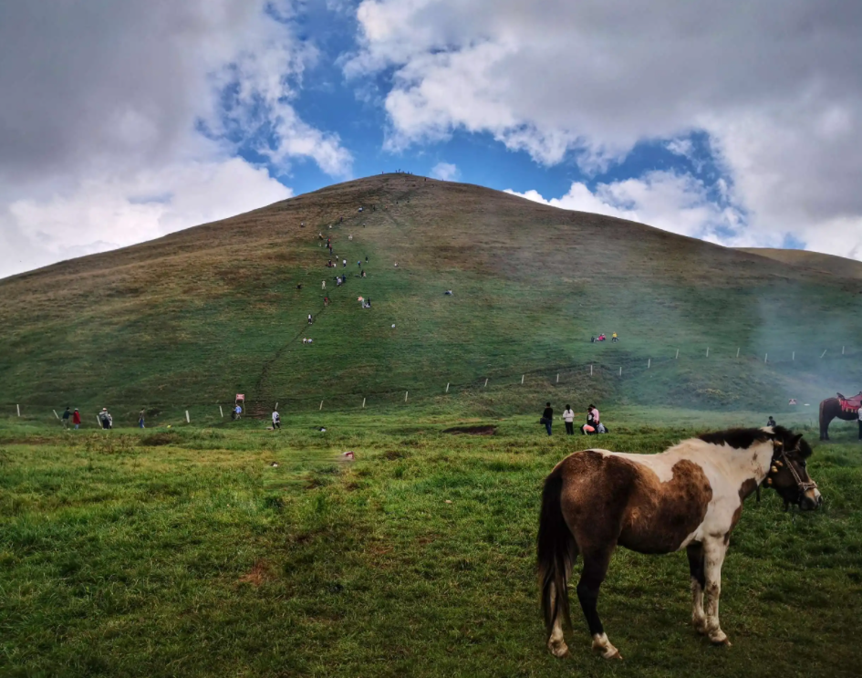 油菜花|曲靖的美景也是有很多的,最出名的就是三月份的油菜花海了,但美景可不止这些
