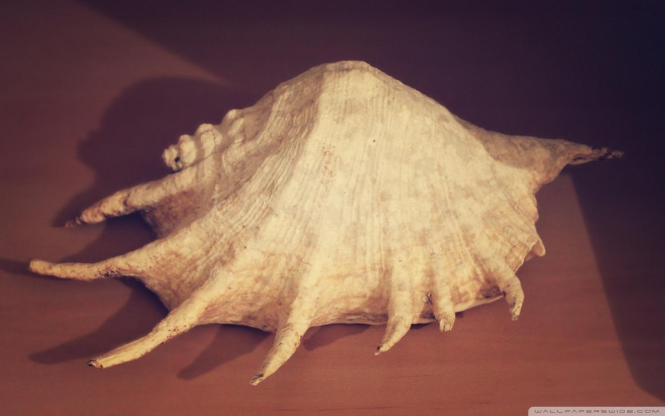 |职场上，如何处理“意外”？