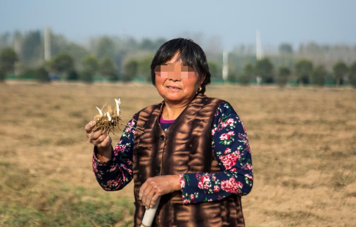 胃病|食用油变“毒油”？已有人胃病恶化，卫生组织再三呼吁：少用、少吃
