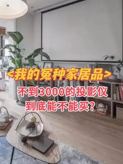 我的冤种家居品|短命的投影仪