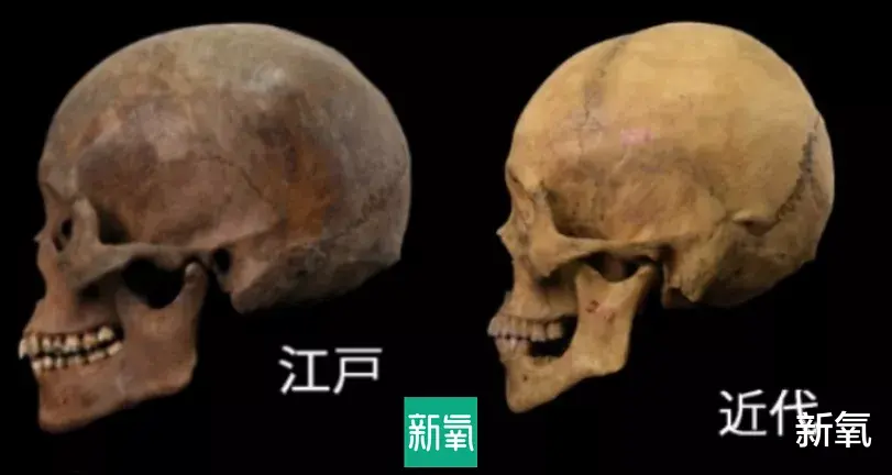 虎牙|连续霸榜最美女明星5年,她的脸到底有啥魔力?