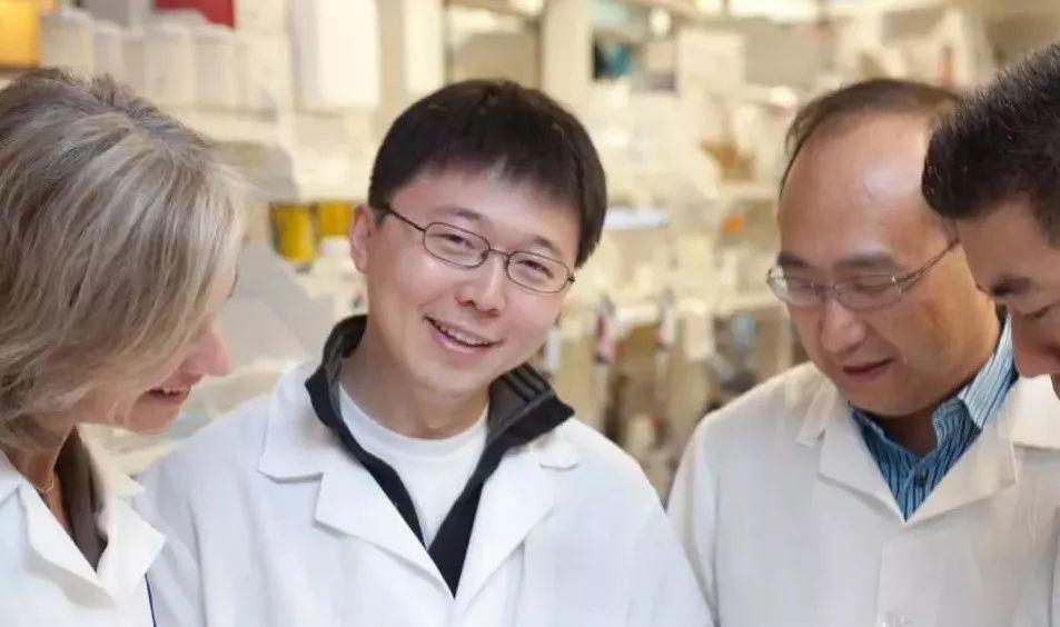 华裔科学家胜出!基因技术“上帝剪刀”争夺结束,幕后惊现投名状