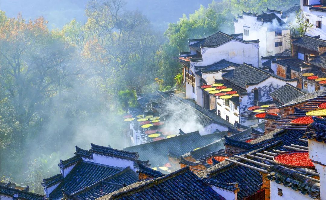 美丽|古村的秋意，画卷般美丽