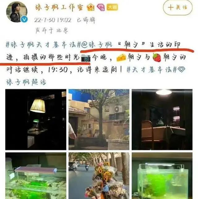 张子枫|张子枫盗图，玩艺人特权，将成为女版四字？