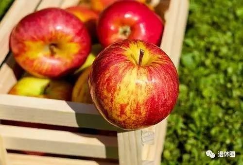 苹果|食物是最好的医药（水果篇），收好这张饮食表，吃出健康好身体