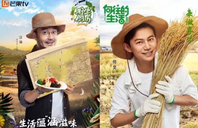 汪涵|嚣张的汪涵,终为自己的行为,付出了代价