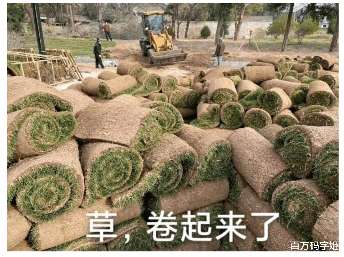 |薪净自然凉，人多自然卷：互联网“优化”大潮，打工人战战兢兢