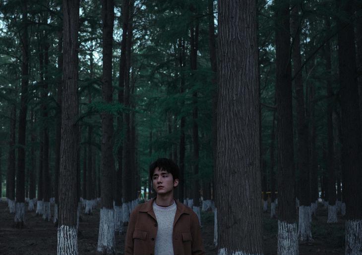 张新成|张新成在树林里散步,身上有浓厚的文艺范,如同一个忧郁少年