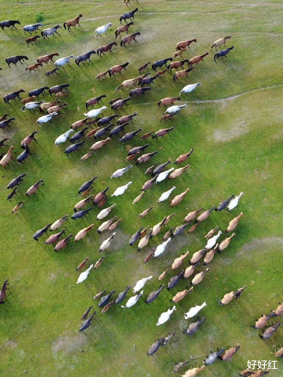 张掖|它底蕴不输敦煌!这座被严重低估的千年古城,很多人路过都错过了