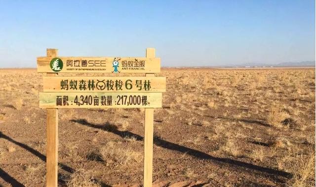 云从科技|马云的“新身份”？一年多次出入联合国，背后真相让人“意外”