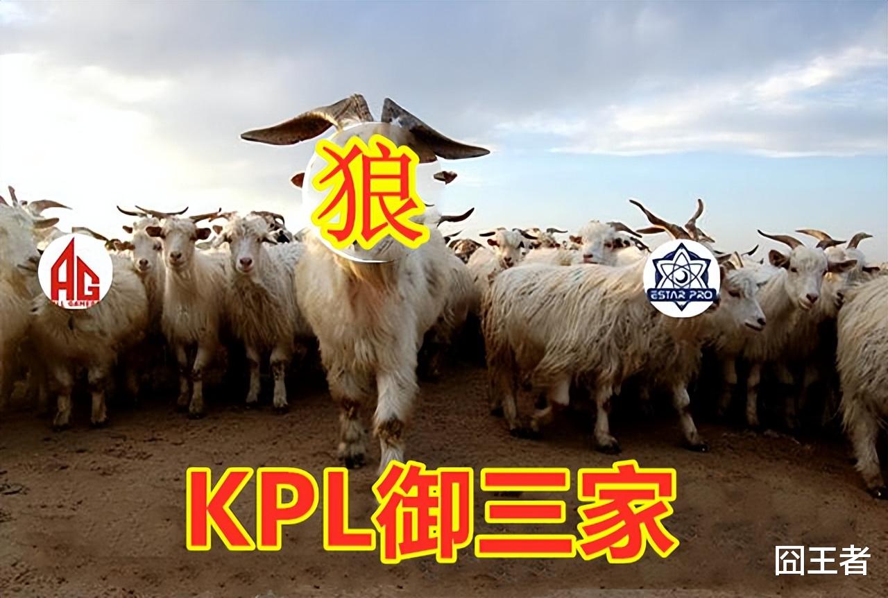 亚运会|亚运会延期：KPL夏季赛狼星将争抢大满贯，XYG冠军梦或破碎？