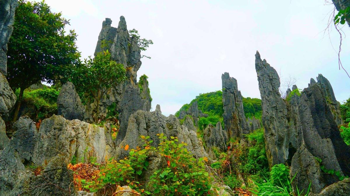 元江|兴义市这2个省级风景区，犹如梦幻之境，但却鲜为人知太可惜