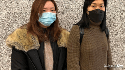 杨连慧|美无业游民恶意辱华，放狗咬人，叫嚣“滚回中国”！华裔拳师出手