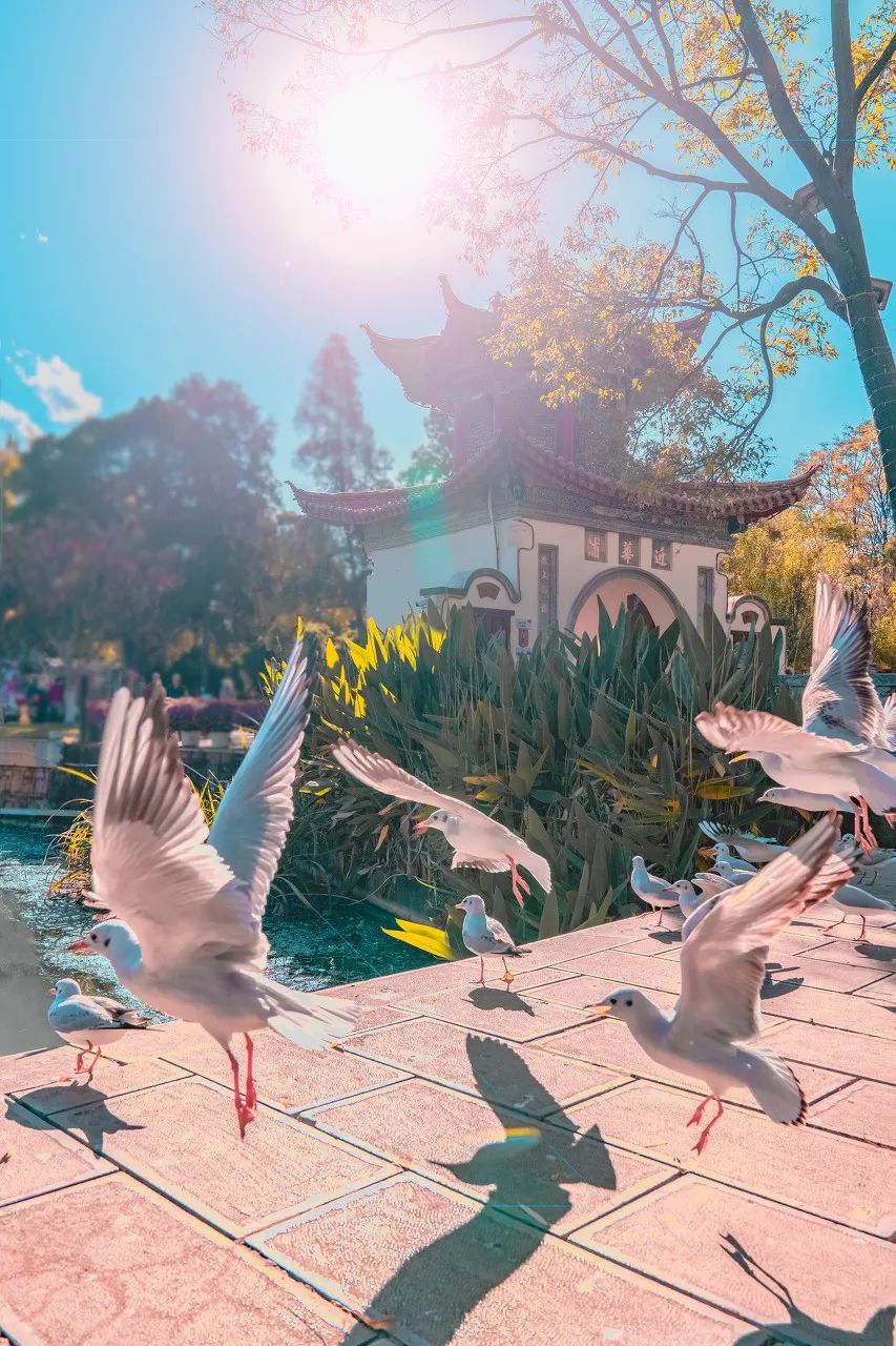 南京长江大桥|霸占“全国十大宜居城市”榜首，这个连汪曾祺都疯狂表白的城市，低调太久了