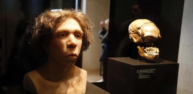 尼安德特人|带着尼安德特人登上《花花公子》，新科诺奖得主的传奇人生