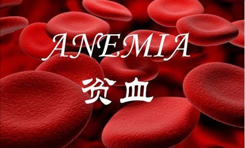 阿尔茨海默病|俗话“一鸽胜九鸡”,常吃鸽子肉有哪些好处?炖汤时,记住2不放