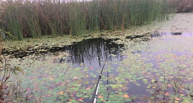 智商税|冬天钓鱼找不到鱼窝？遵照“温饱”二字，好钓点任你选