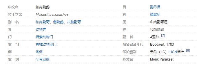 世界上会说话的鸟 十种模仿人类说话的鸟 非洲灰鹦鹉说话能力最强