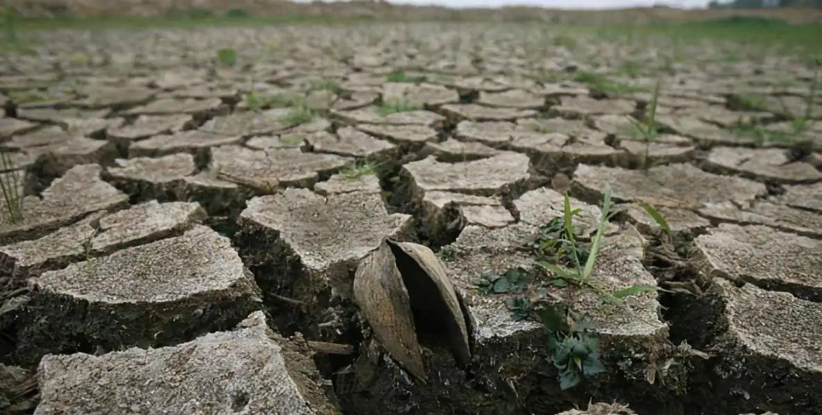 科学家疯狂改造沙漠,20000亩沙漠变良田,沙漠真的能被消灭吗?