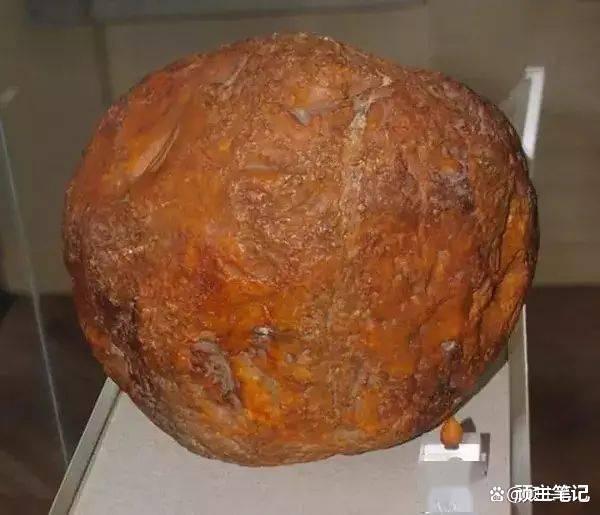 蜜蜡|最大的蜜蜡原石到底有多大？