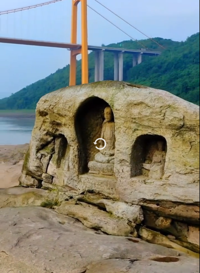 “气候危机纪元”或至,我们该怎么办?