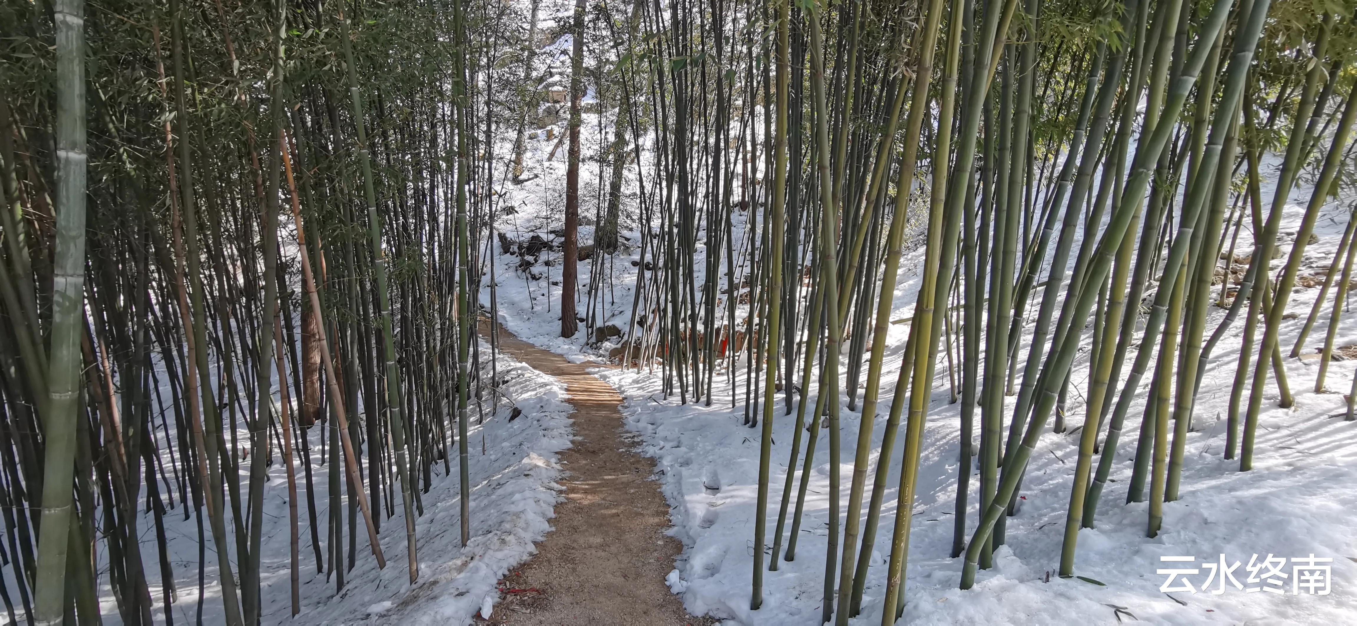 |探秘蓝田大石沟，大过年的却没有年轻人，除了老人就是迷人的雪景