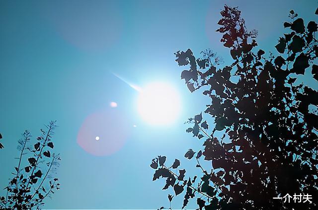 明日入伏,今年是公伏还是母伏?入伏下雨好不好?俗语这样说